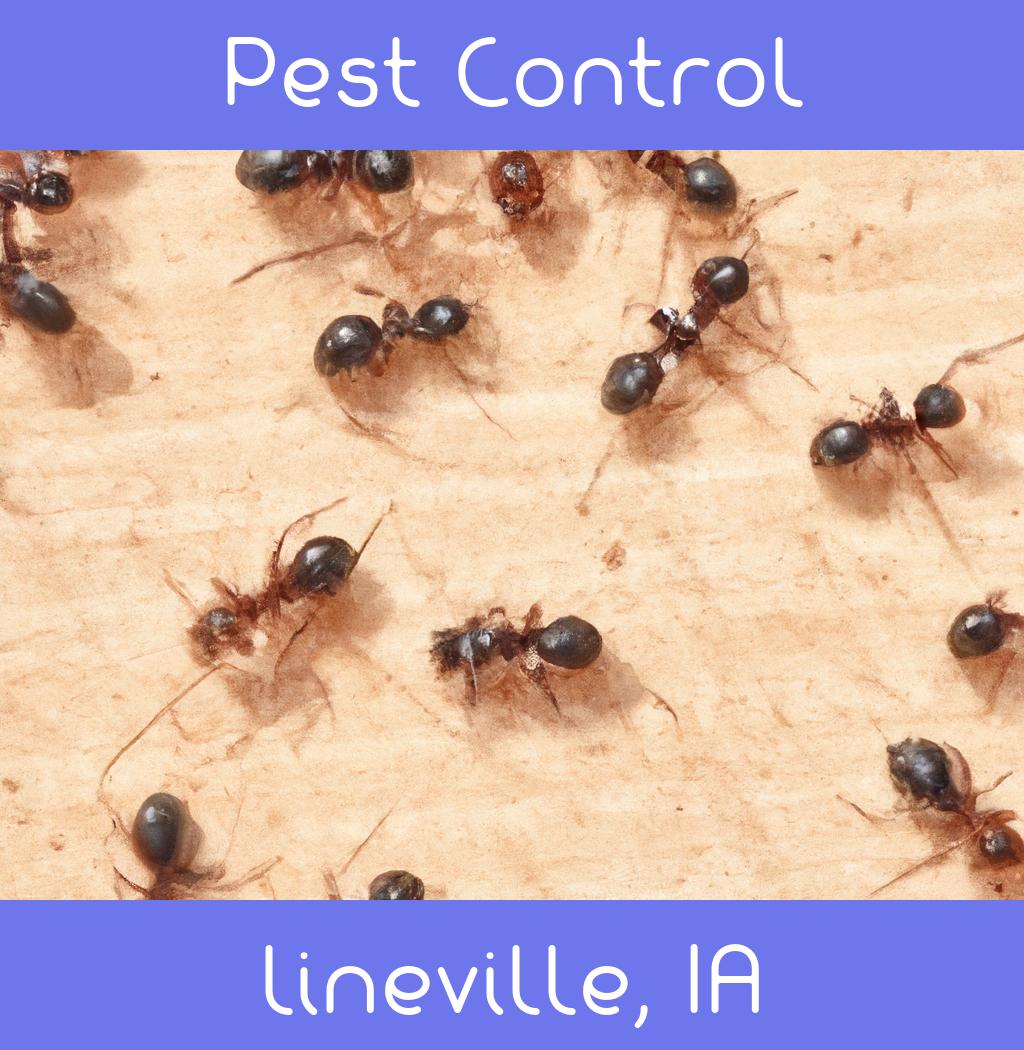 pest control in Lineville Iowa