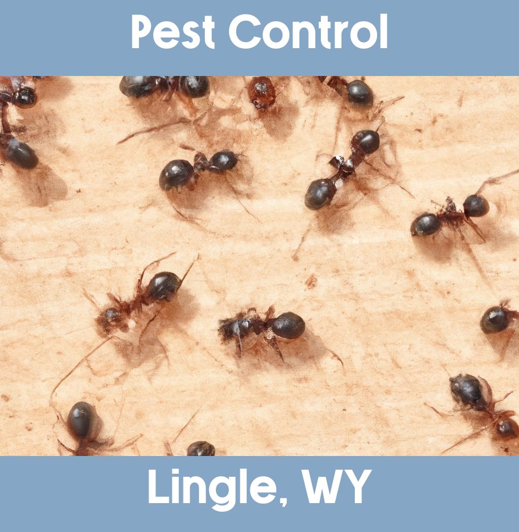 pest control in Lingle Wyoming