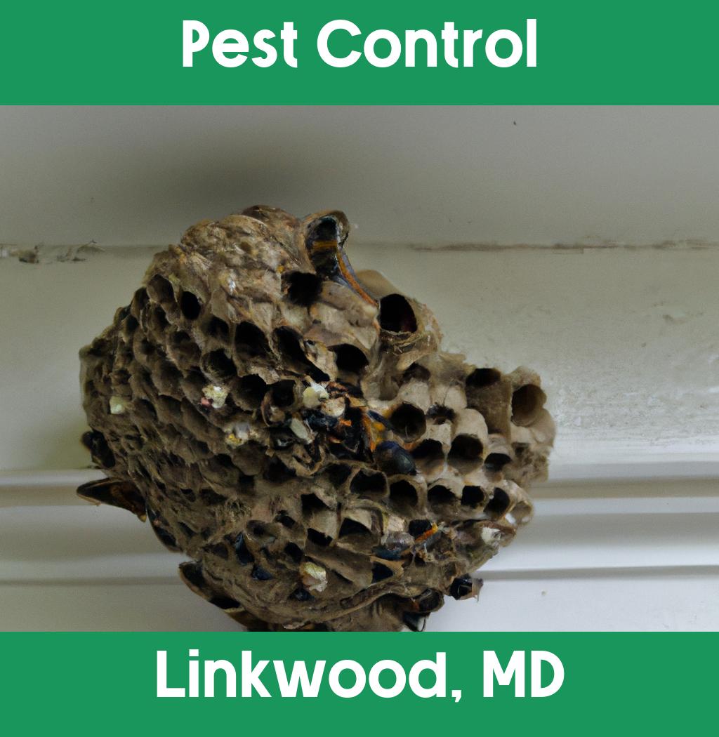 pest control in Linkwood Maryland