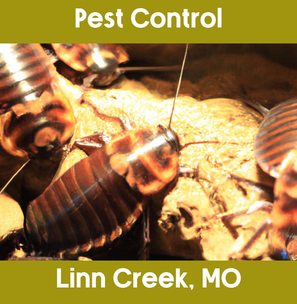 pest control in Linn Creek Missouri