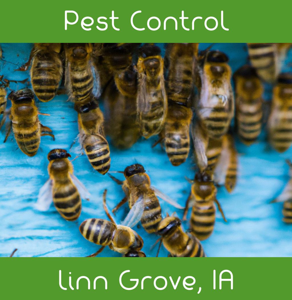 pest control in Linn Grove Iowa