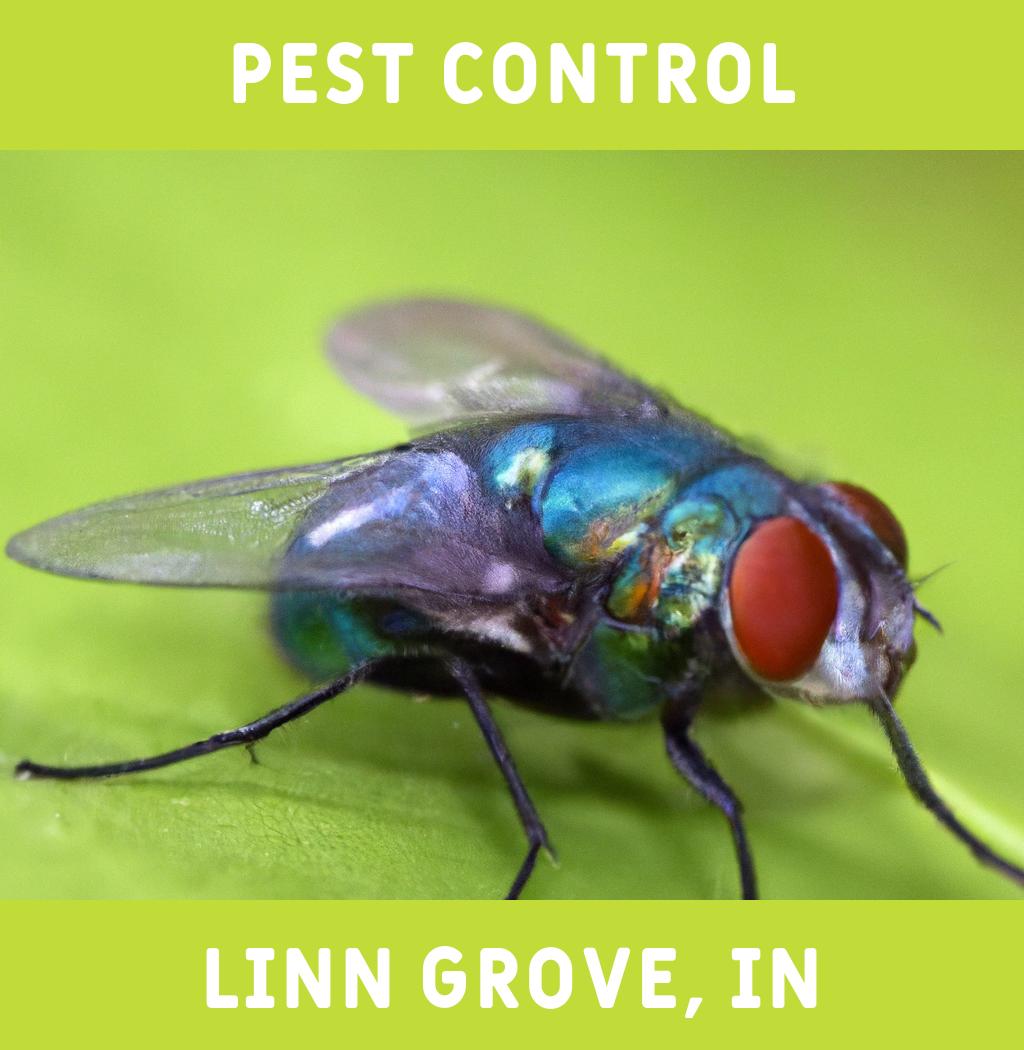 pest control in Linn Grove Indiana