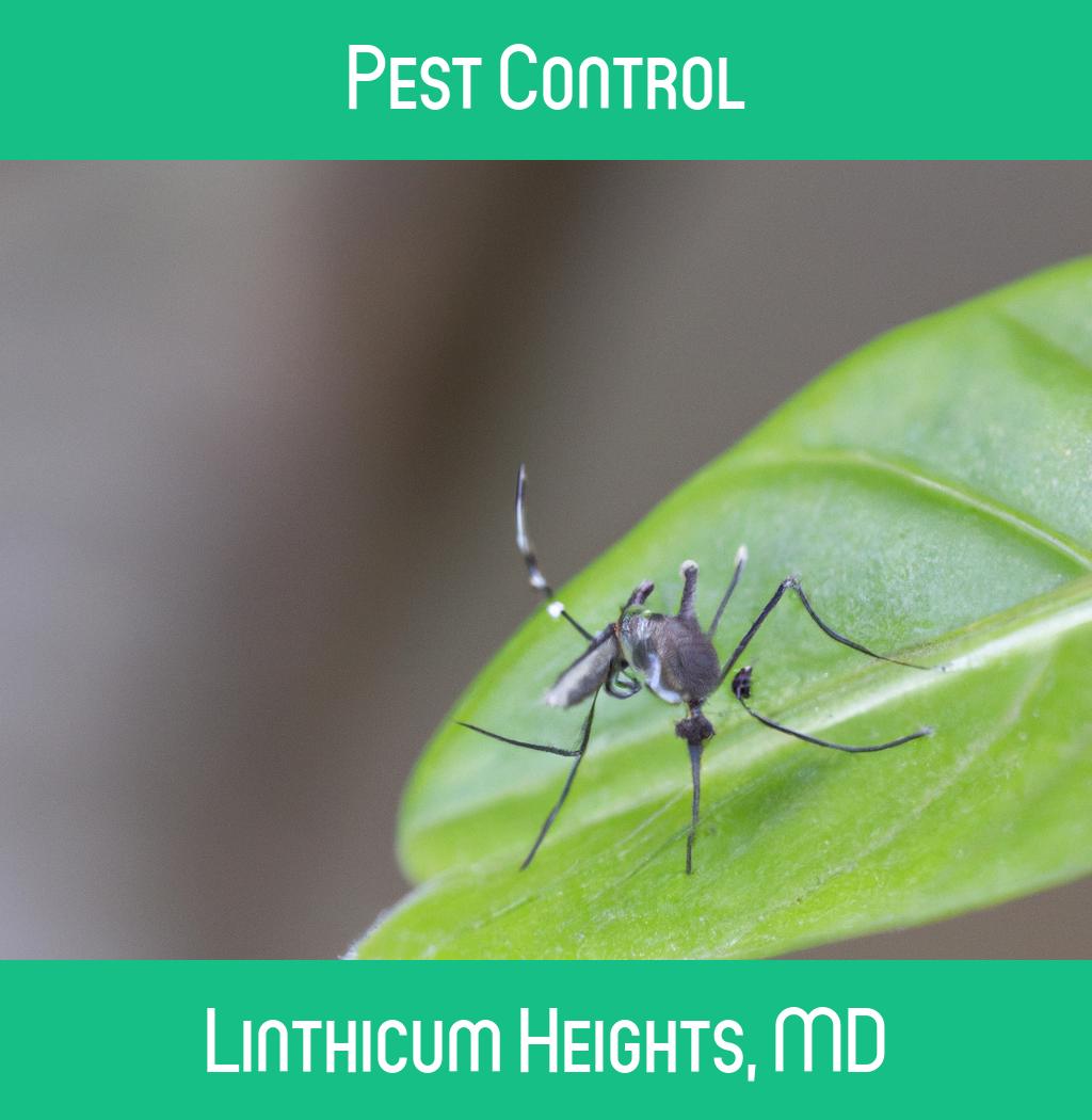 pest control in Linthicum Heights Maryland