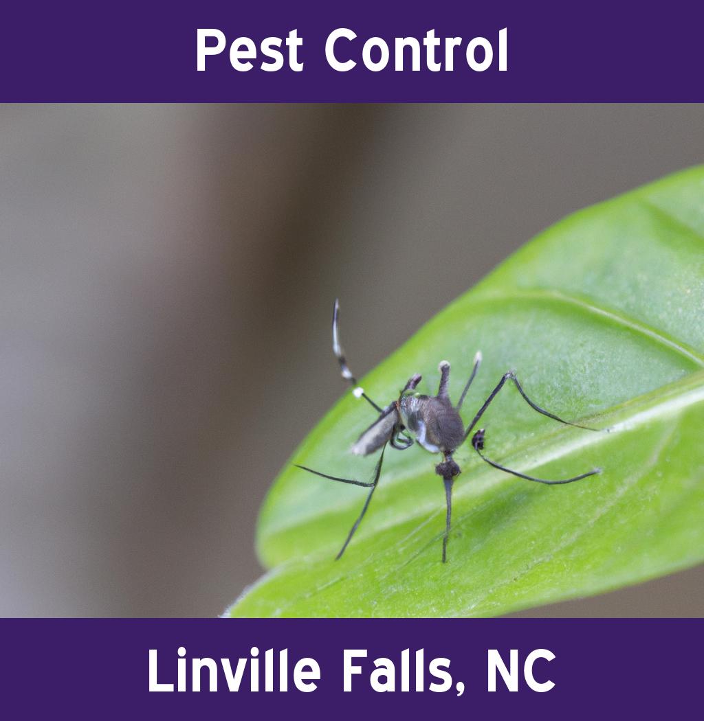 pest control in Linville Falls North Carolina