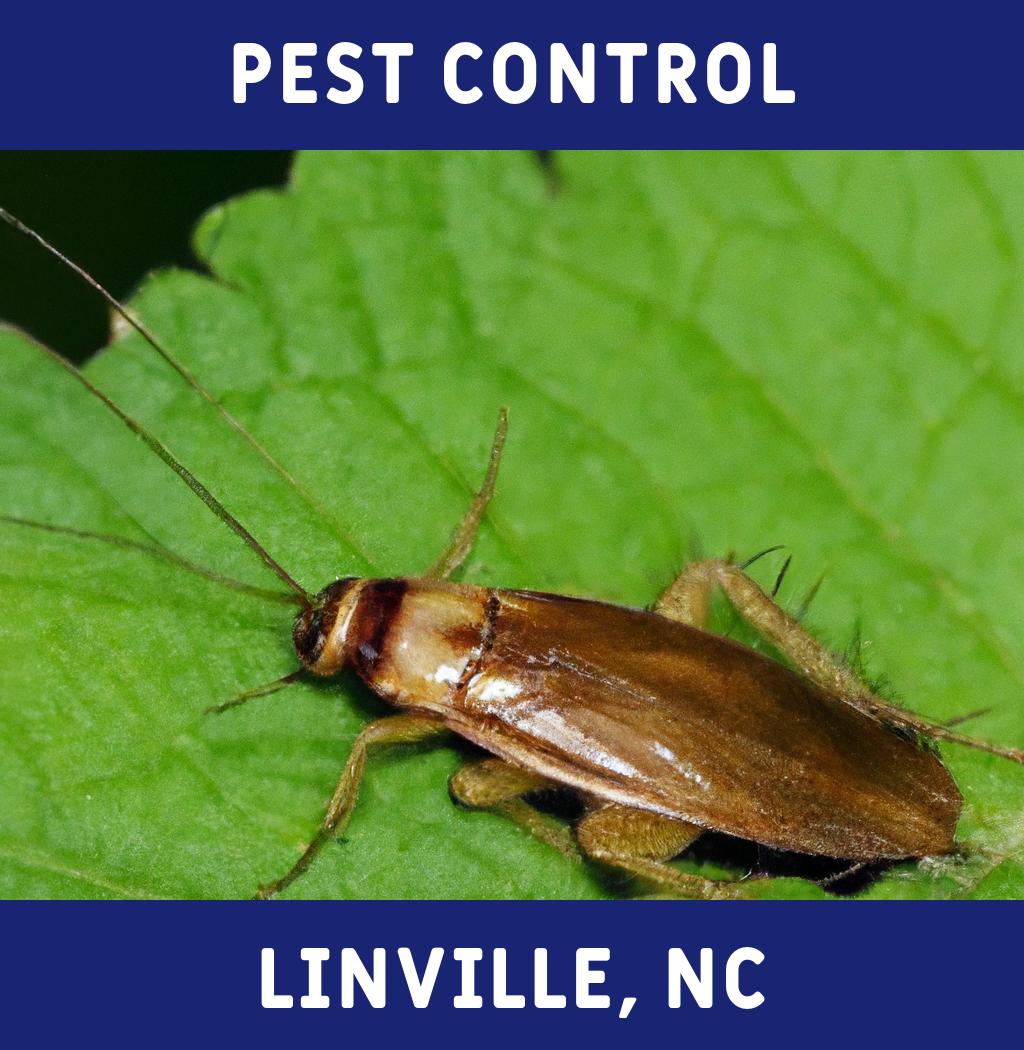 pest control in Linville North Carolina