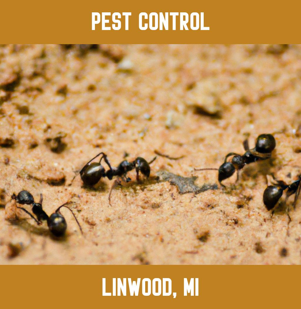 pest control in Linwood Michigan