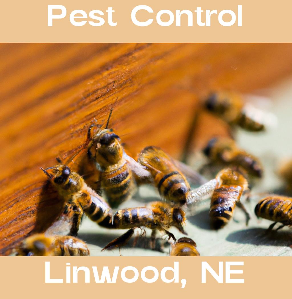 pest control in Linwood Nebraska