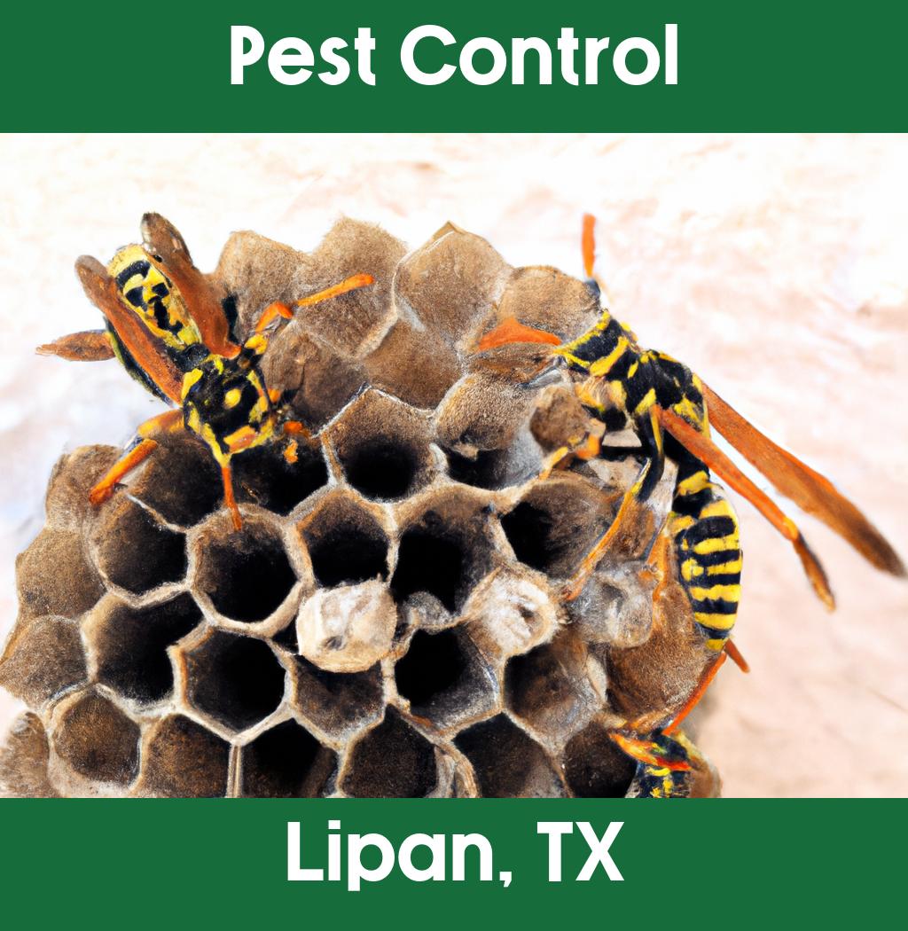 pest control in Lipan Texas