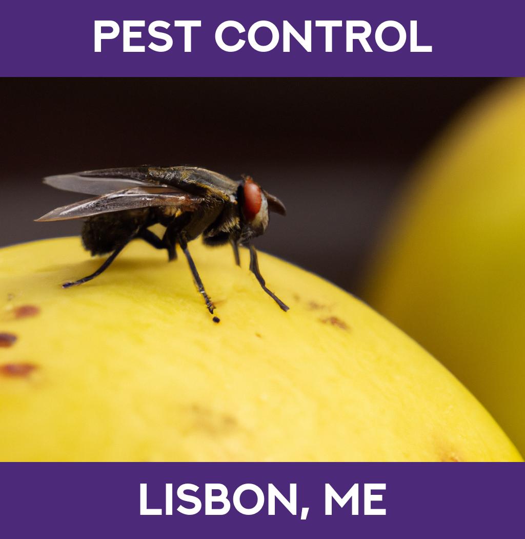 pest control in Lisbon Maine