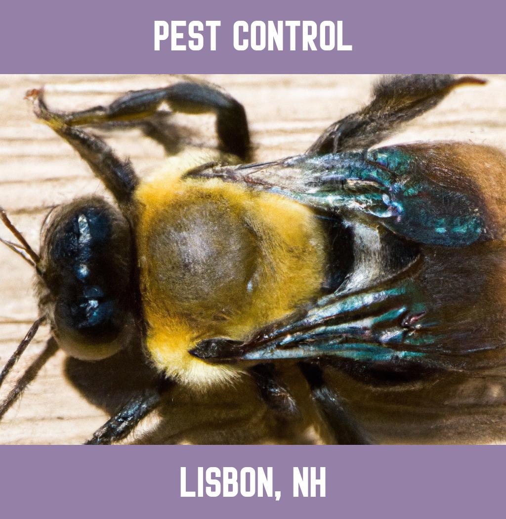 pest control in Lisbon New Hampshire