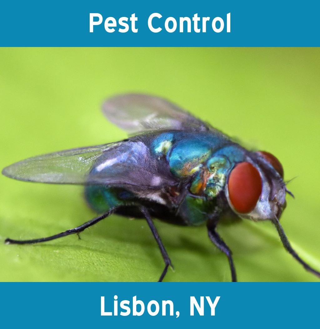 pest control in Lisbon New York