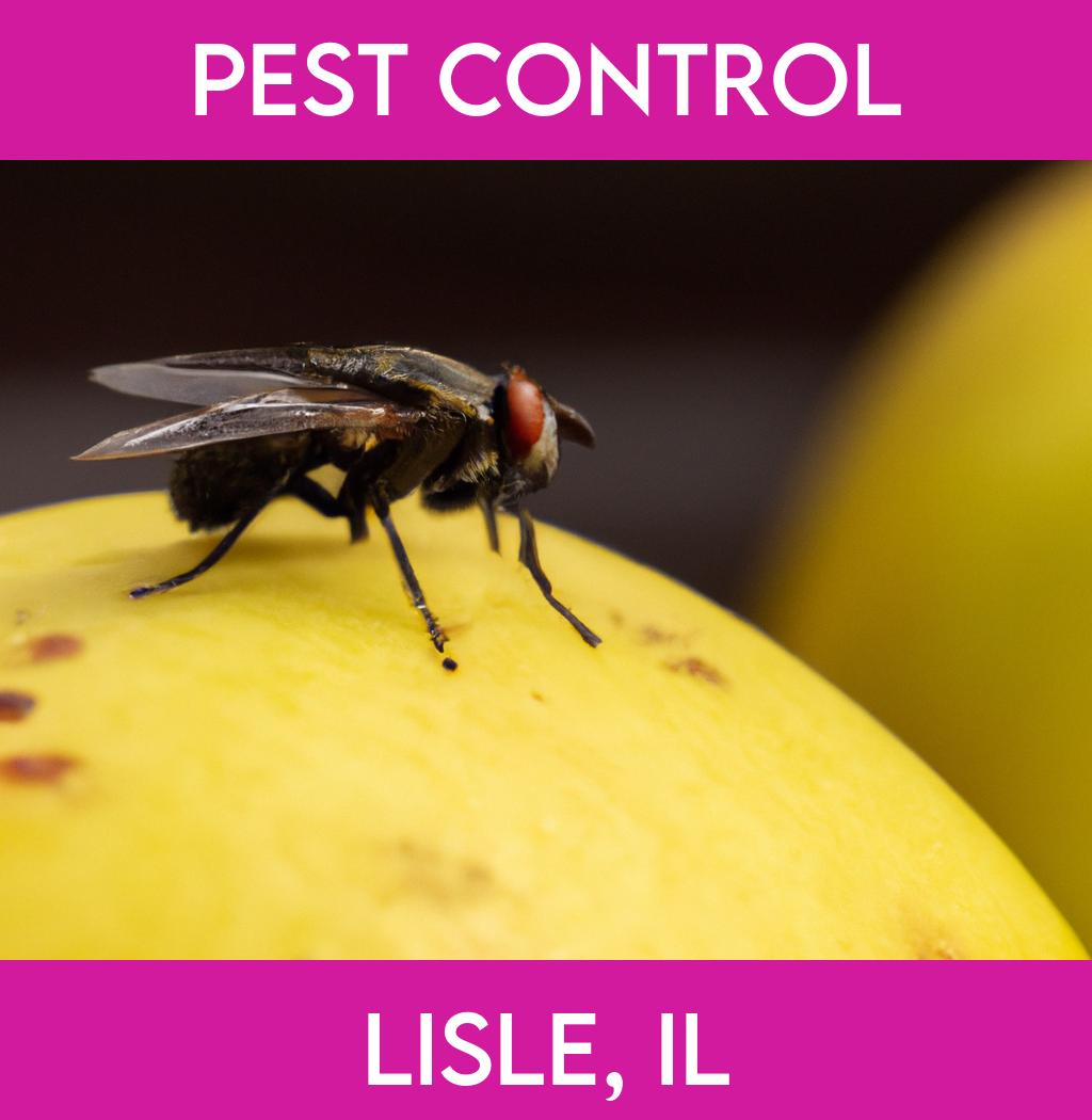 pest control in Lisle Illinois