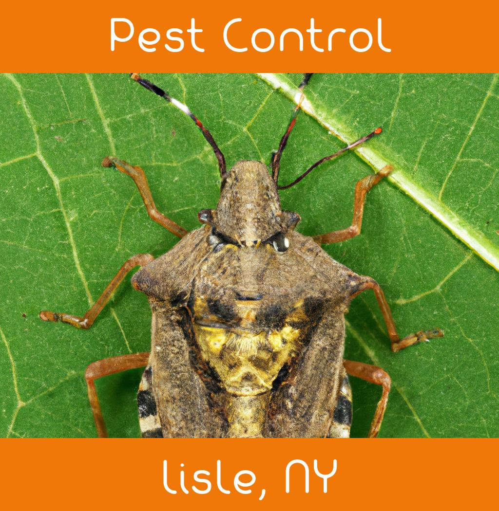 pest control in Lisle New York