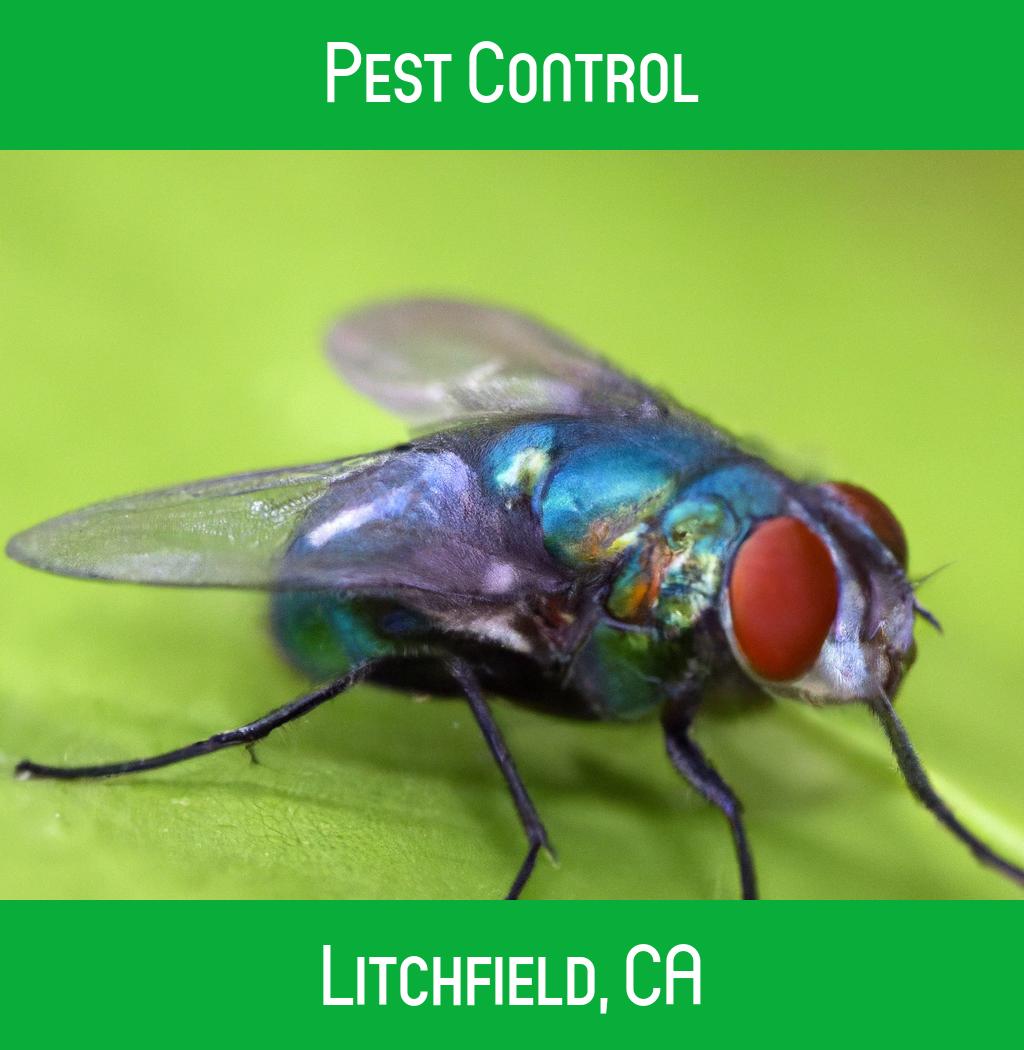 pest control in Litchfield California