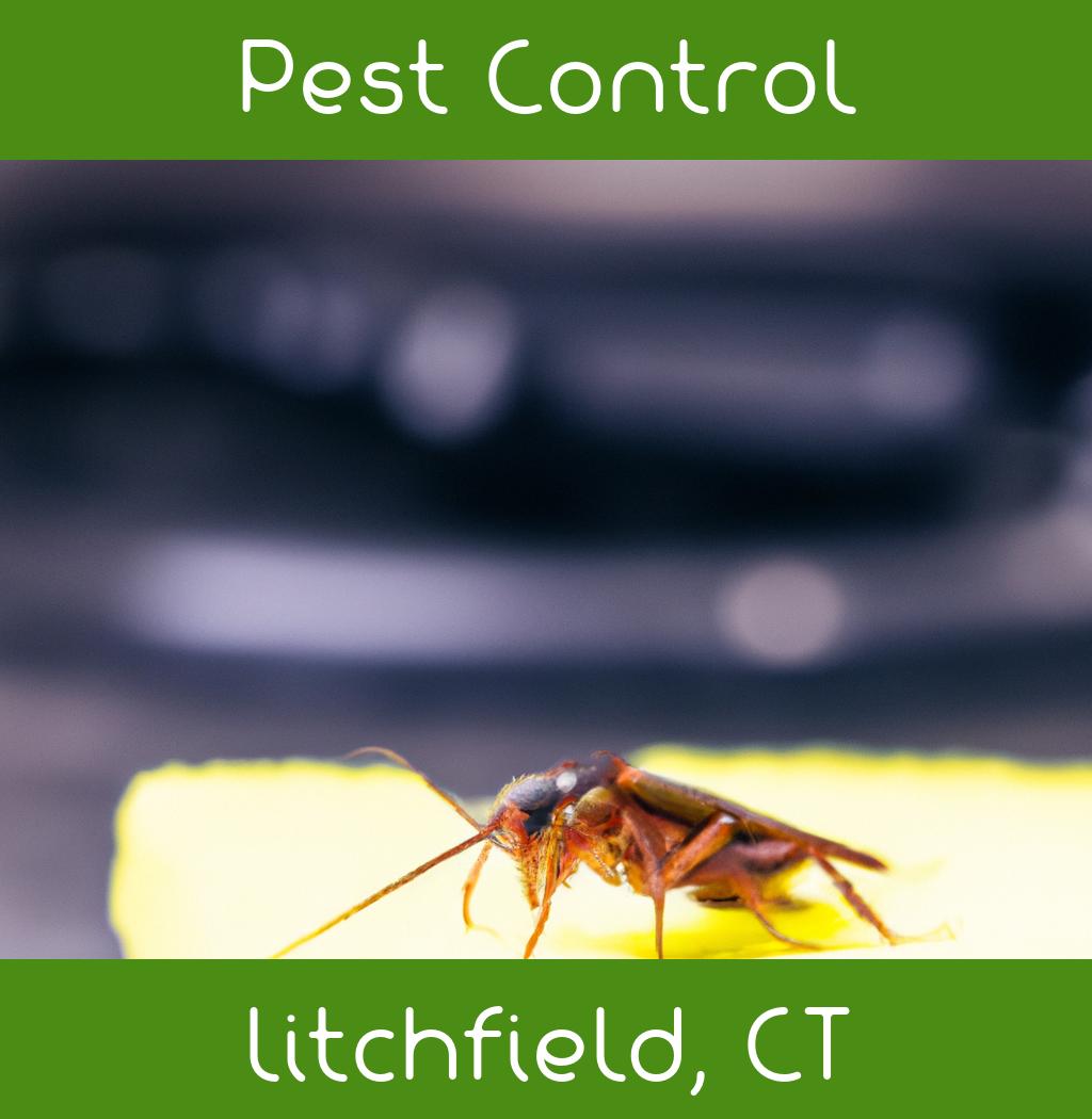 pest control in Litchfield Connecticut