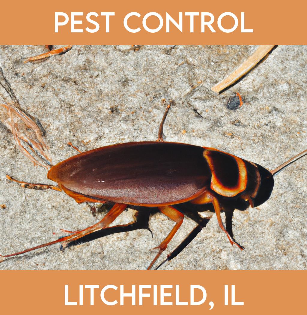 pest control in Litchfield Illinois