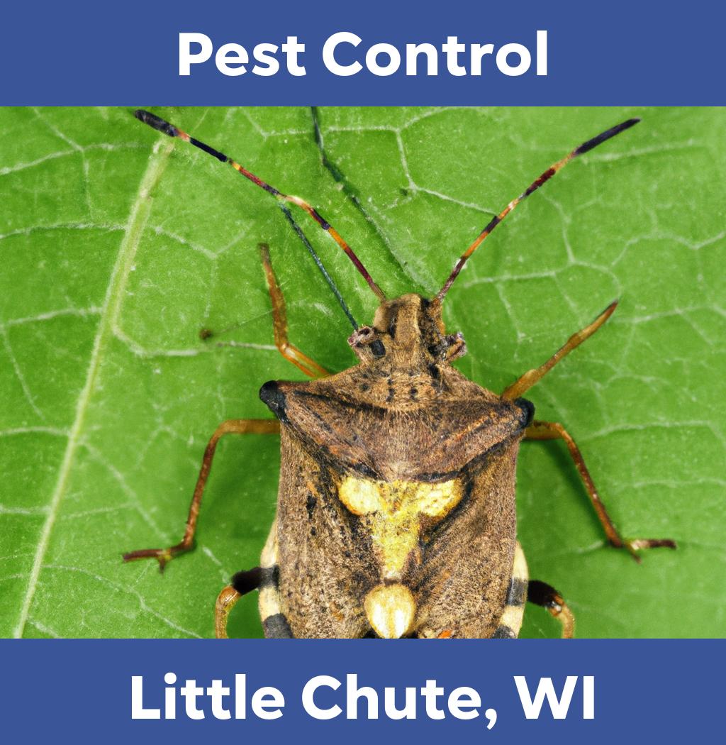 pest control in Little Chute Wisconsin