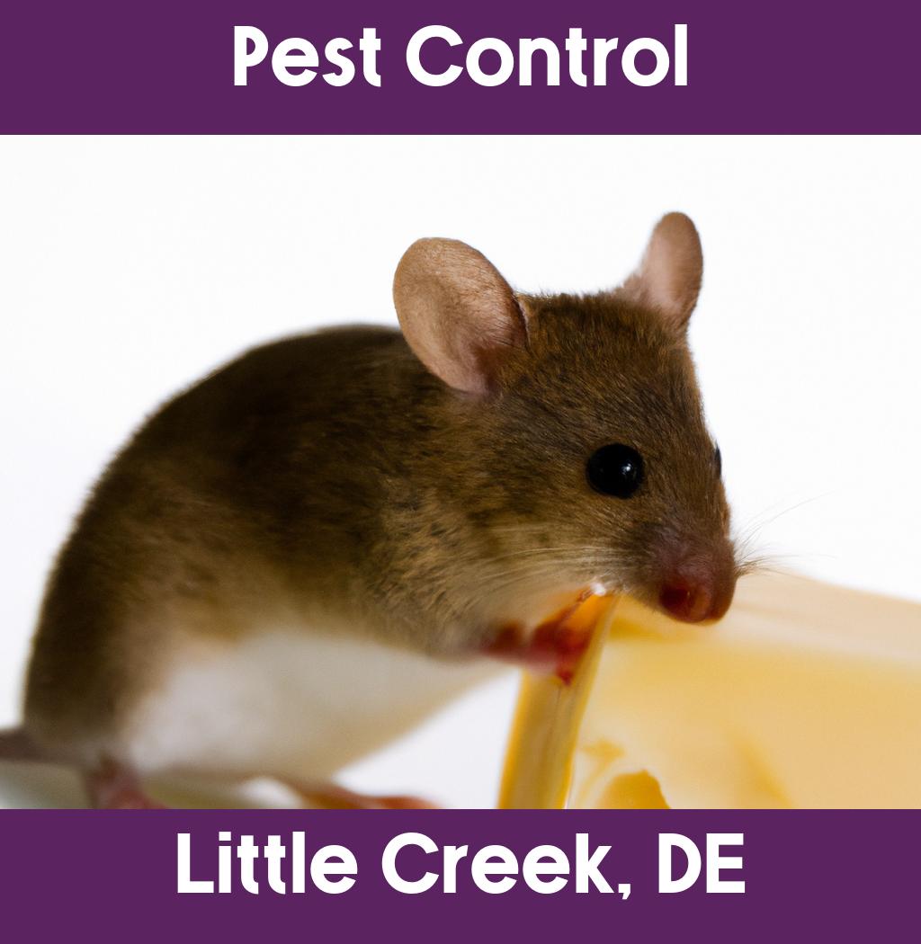 pest control in Little Creek Delaware