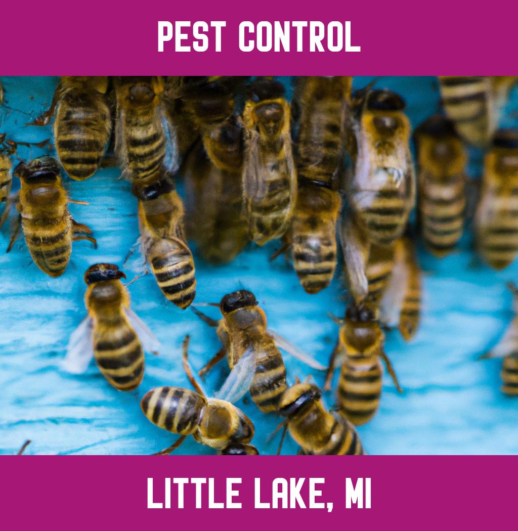 pest control in Little Lake Michigan