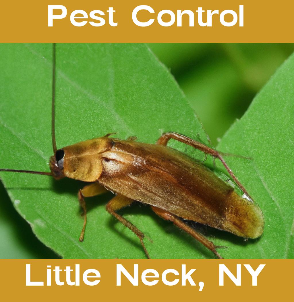 pest control in Little Neck New York