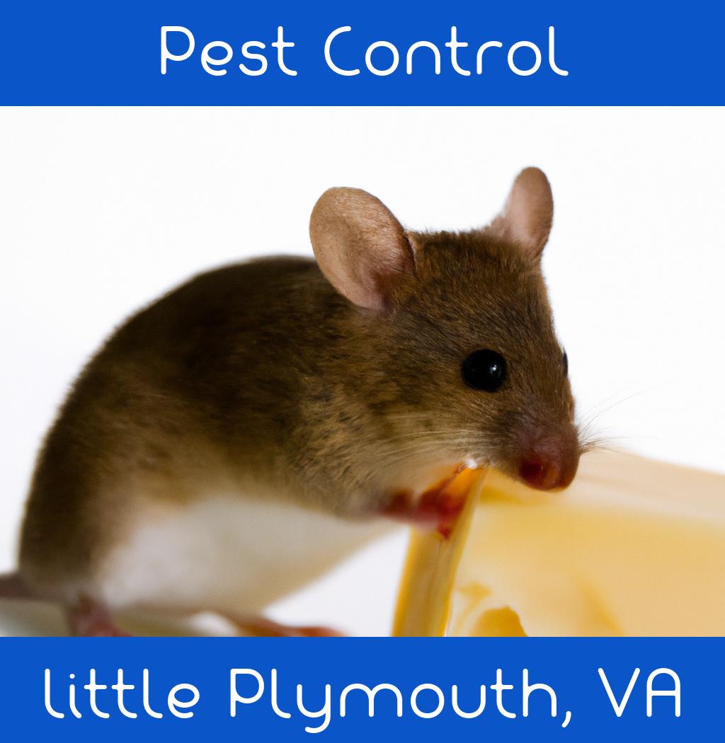 pest control in Little Plymouth Virginia