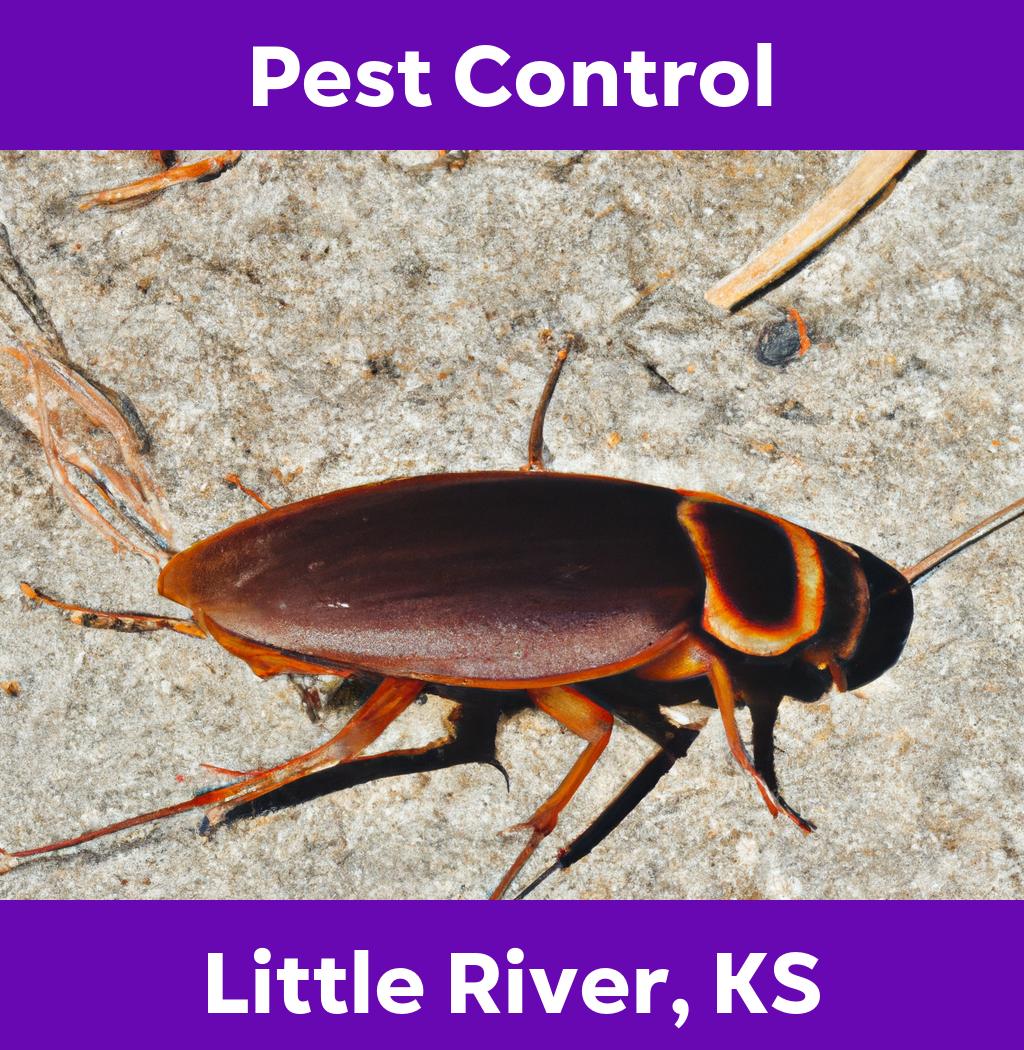 pest control in Little River Kansas