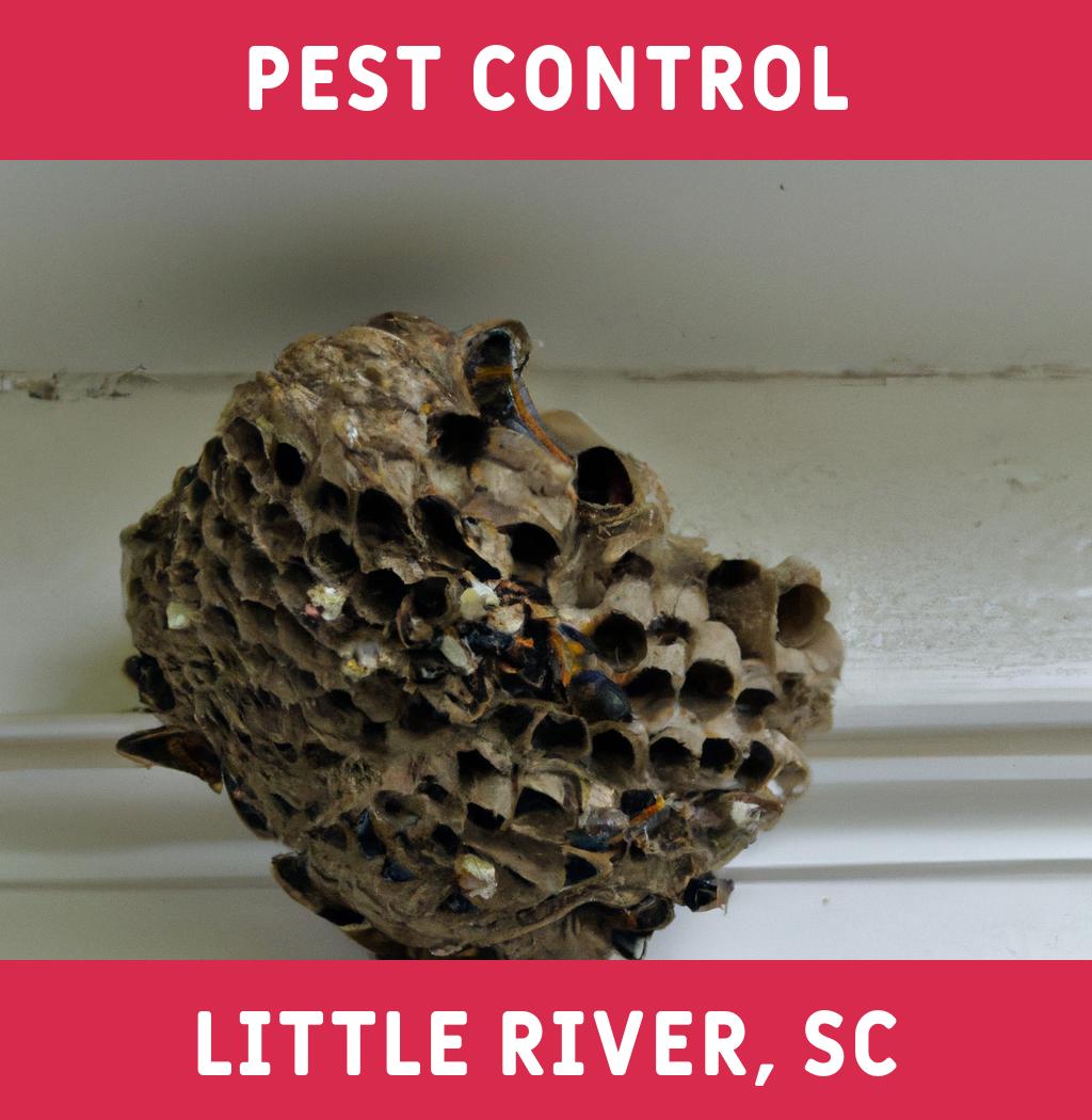 pest control in Little River South Carolina