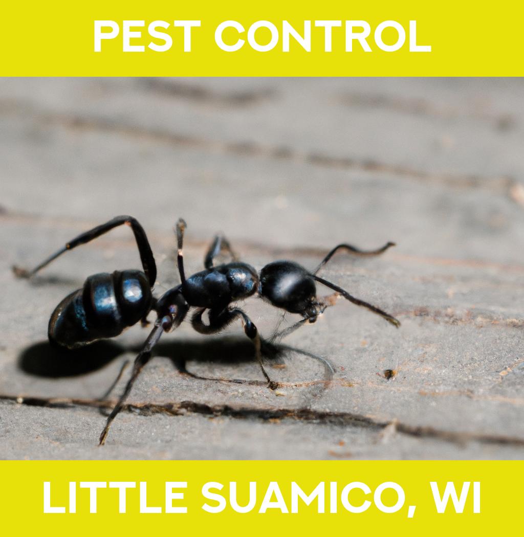 pest control in Little Suamico Wisconsin