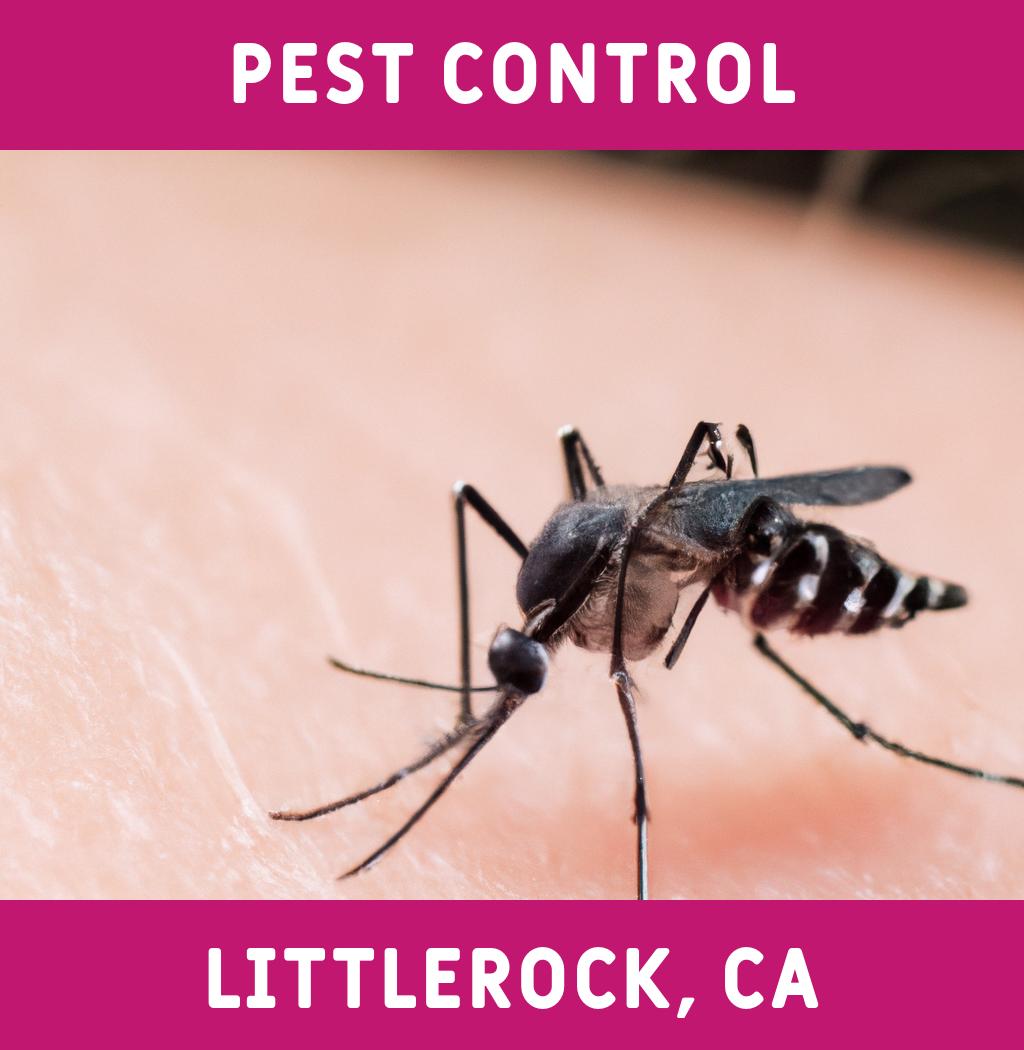 pest control in Littlerock California