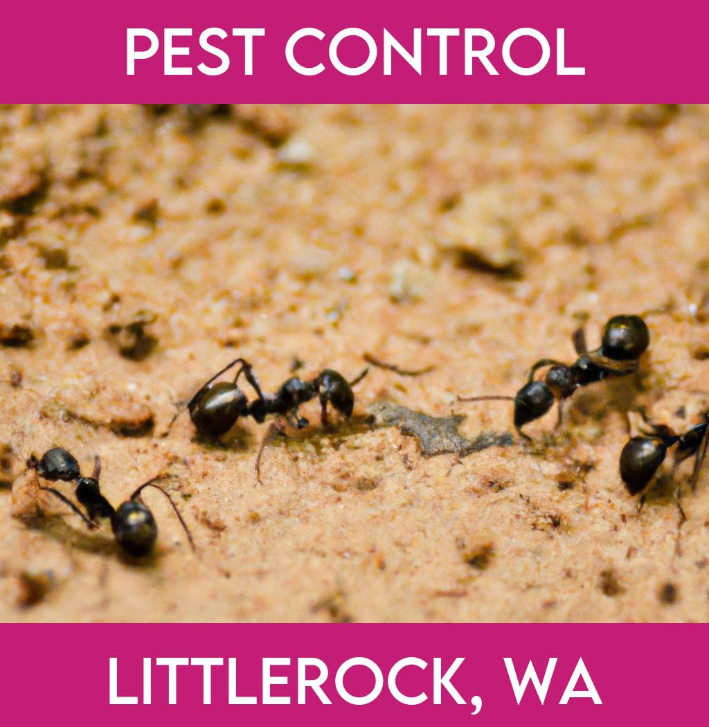 pest control in Littlerock Washington