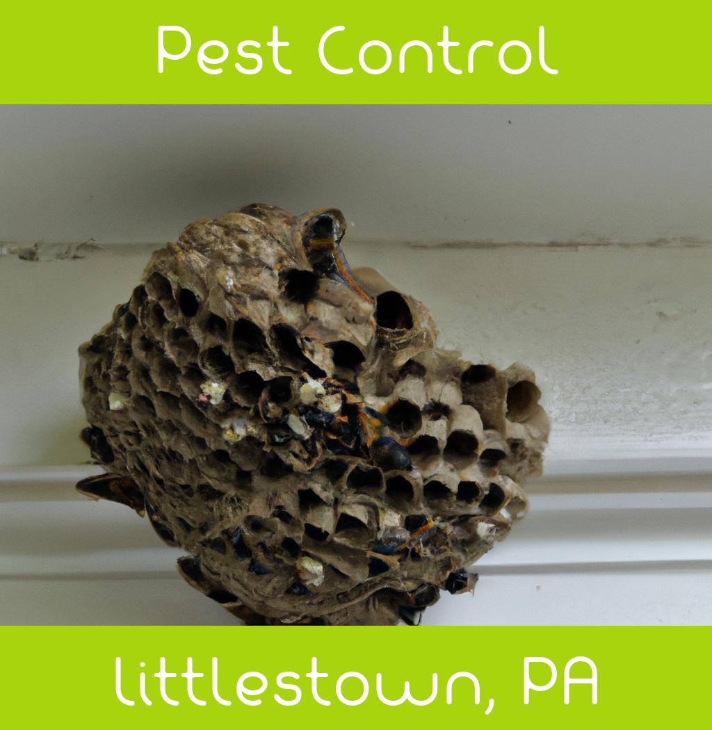 pest control in Littlestown Pennsylvania