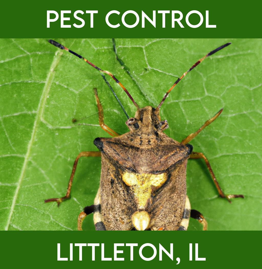 pest control in Littleton Illinois