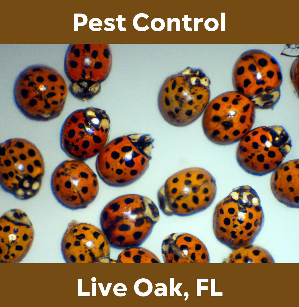 pest control in Live Oak Florida