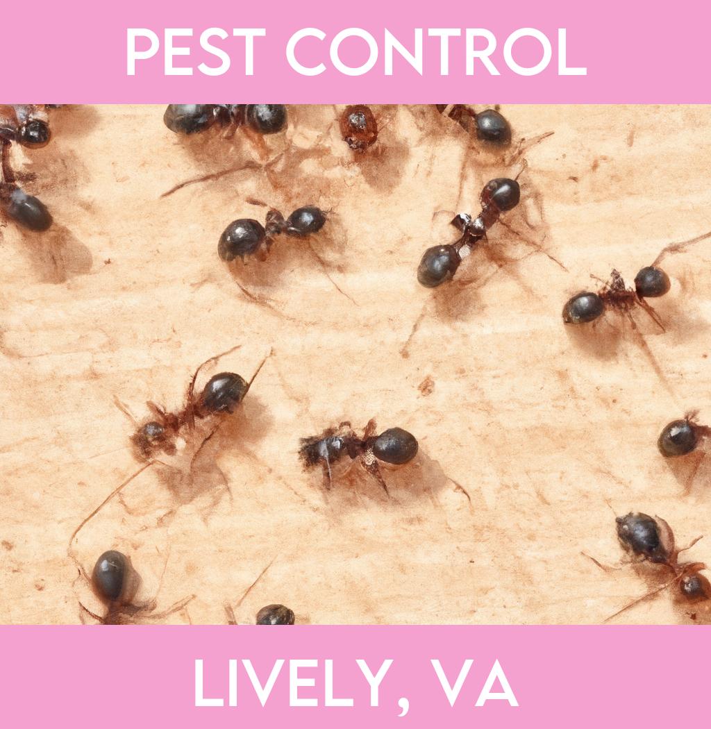 pest control in Lively Virginia