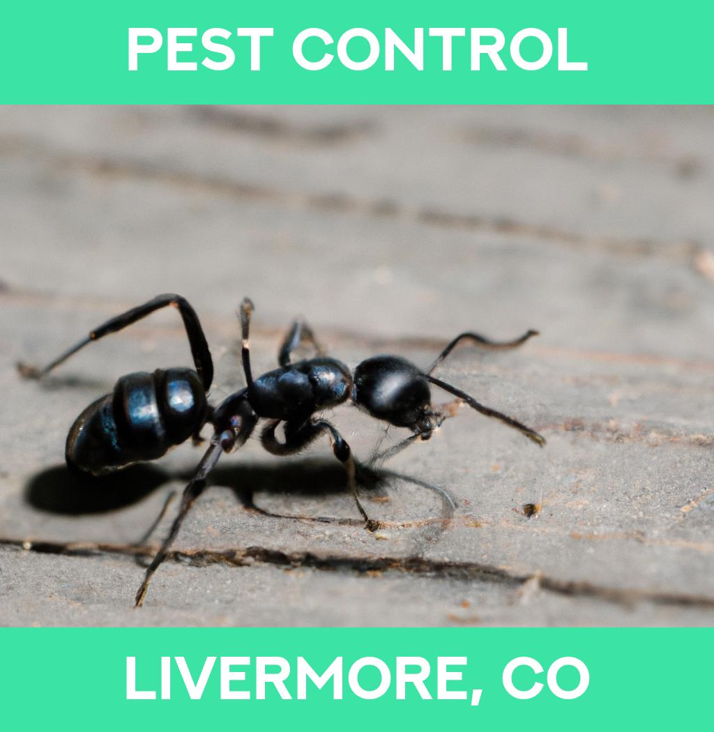 pest control in Livermore Colorado