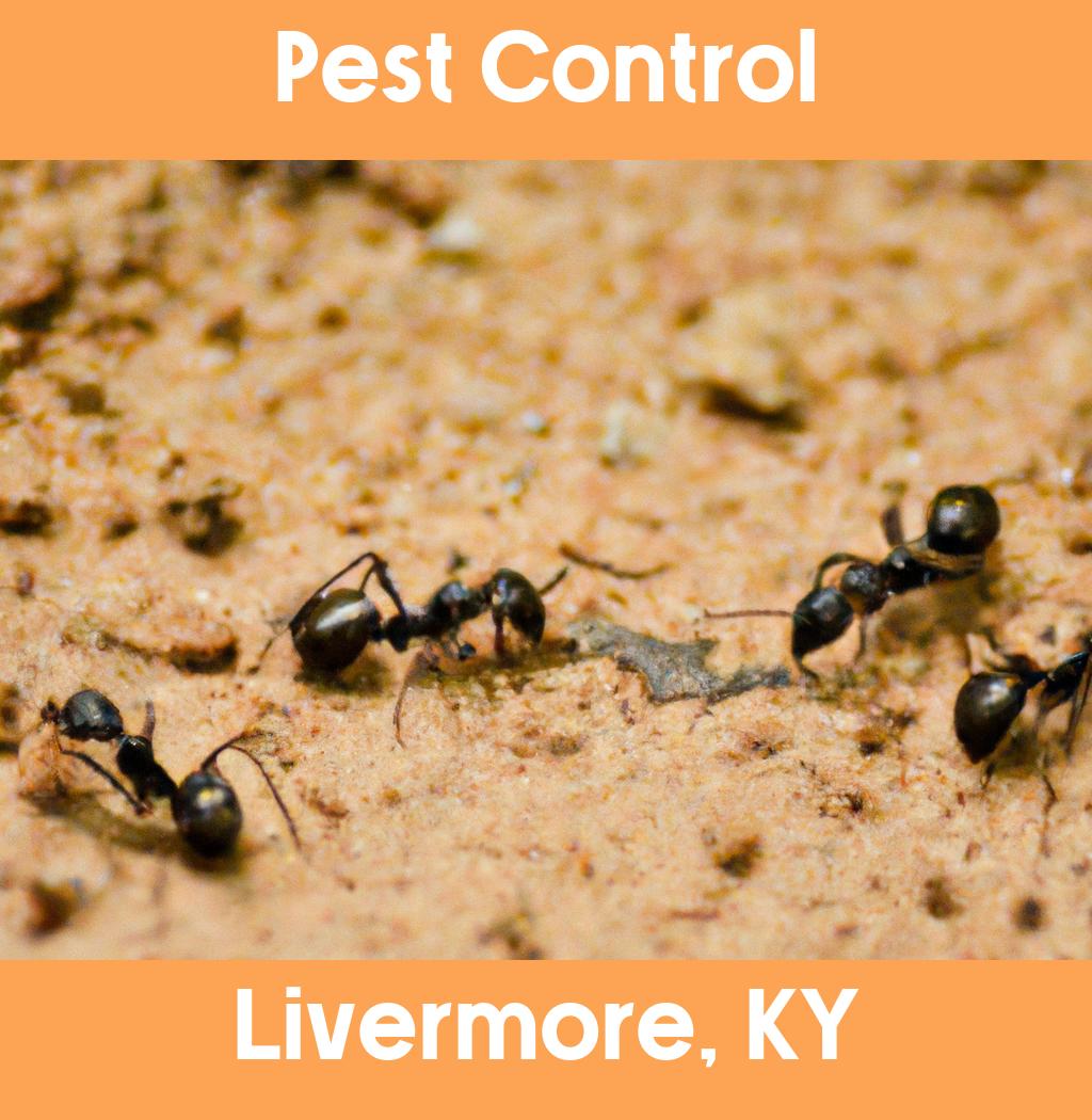 pest control in Livermore Kentucky