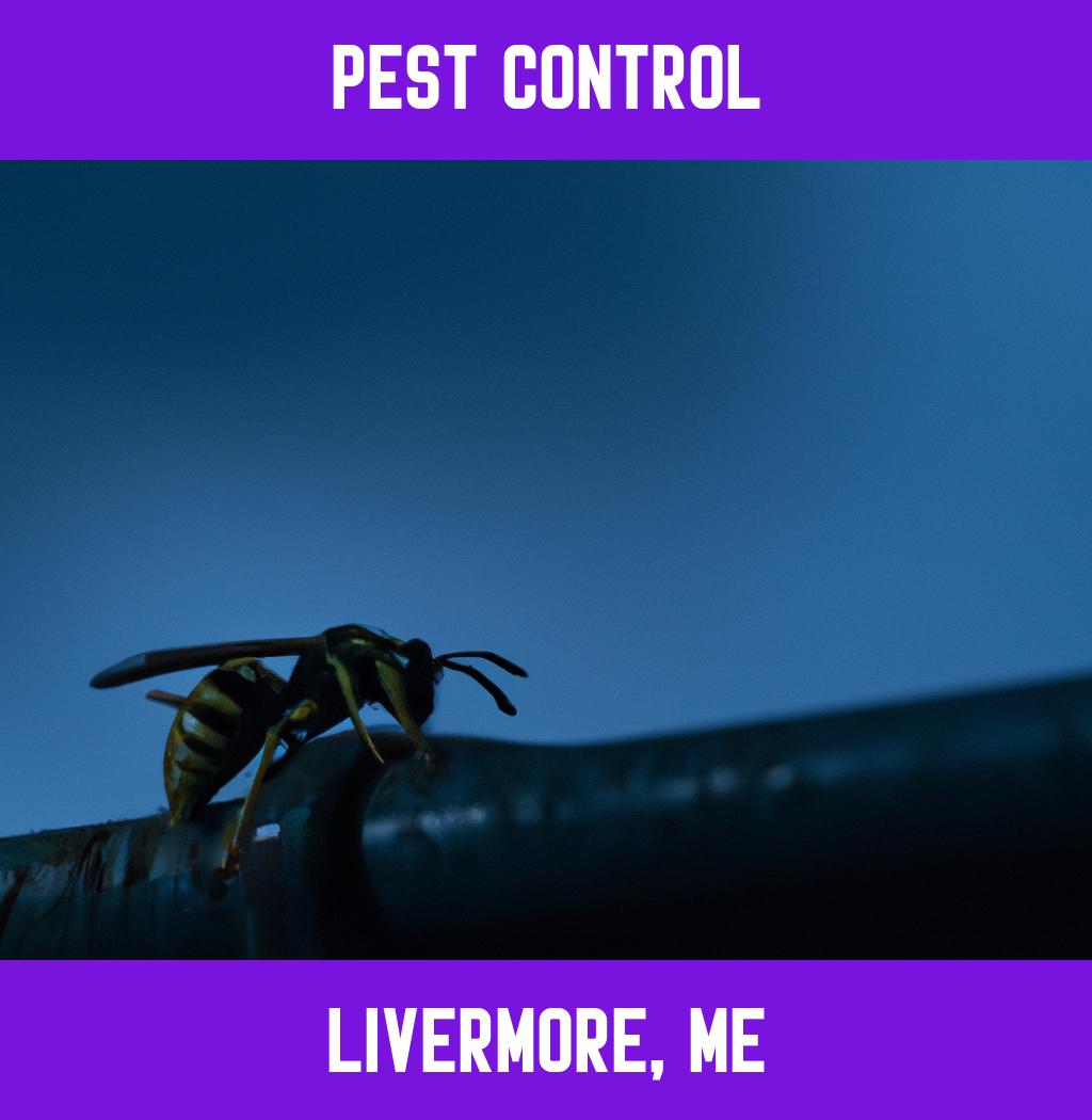 pest control in Livermore Maine