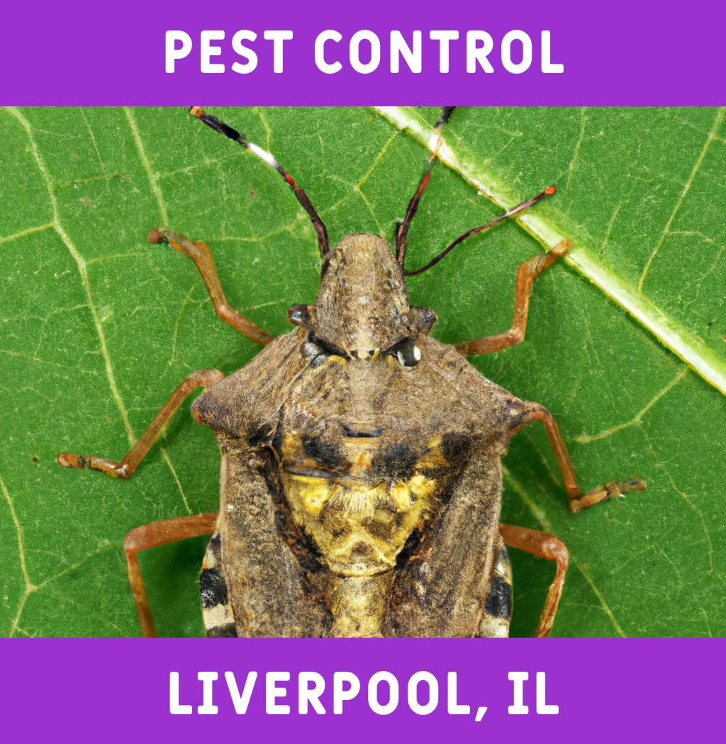 pest control in Liverpool Illinois