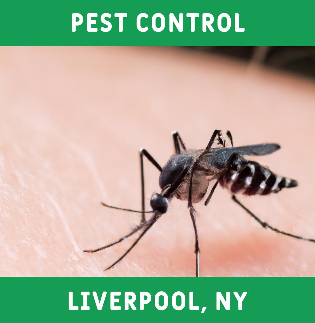 pest control in Liverpool New York