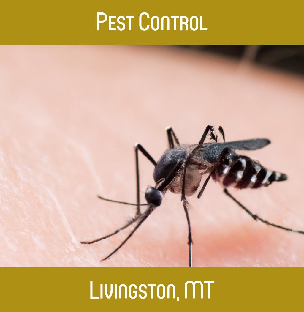 pest control in Livingston Montana