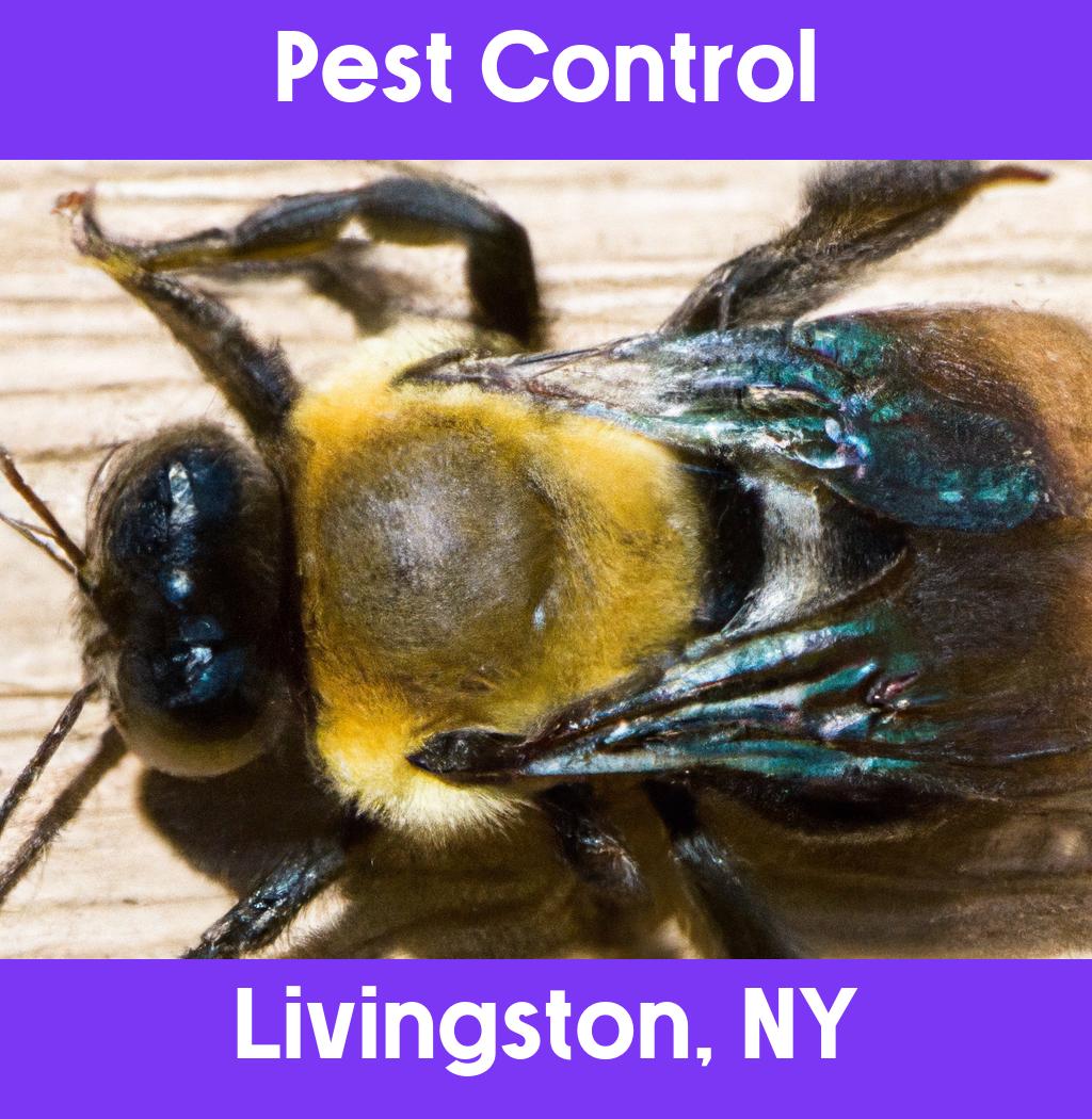 pest control in Livingston New York