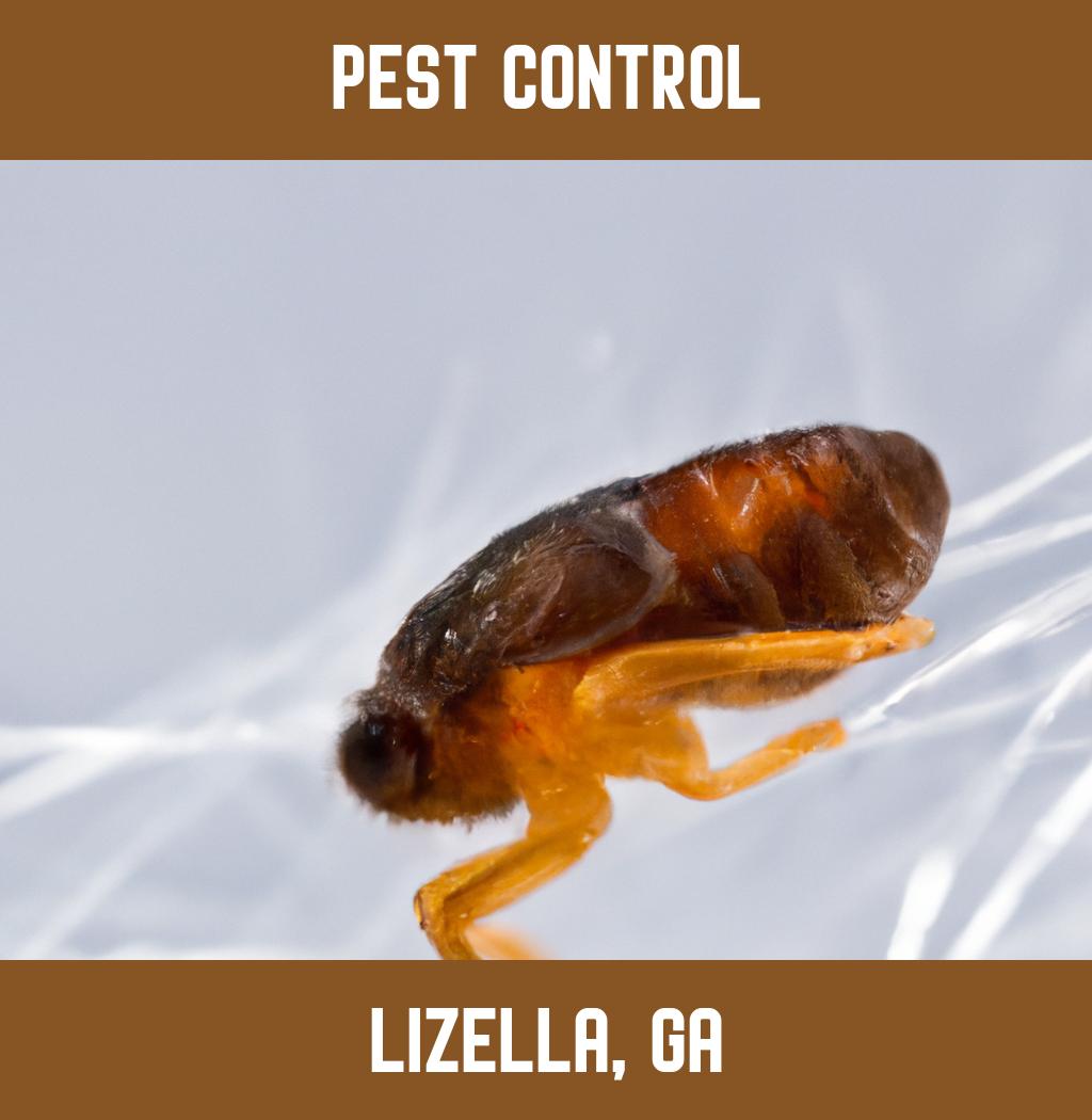 pest control in Lizella Georgia