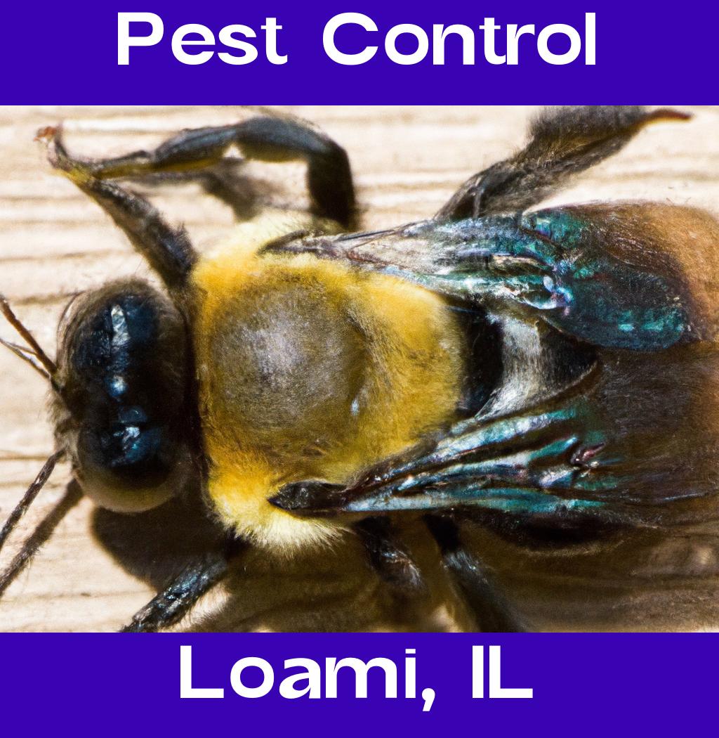 pest control in Loami Illinois