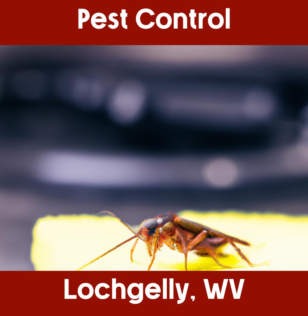 pest control in Lochgelly West Virginia
