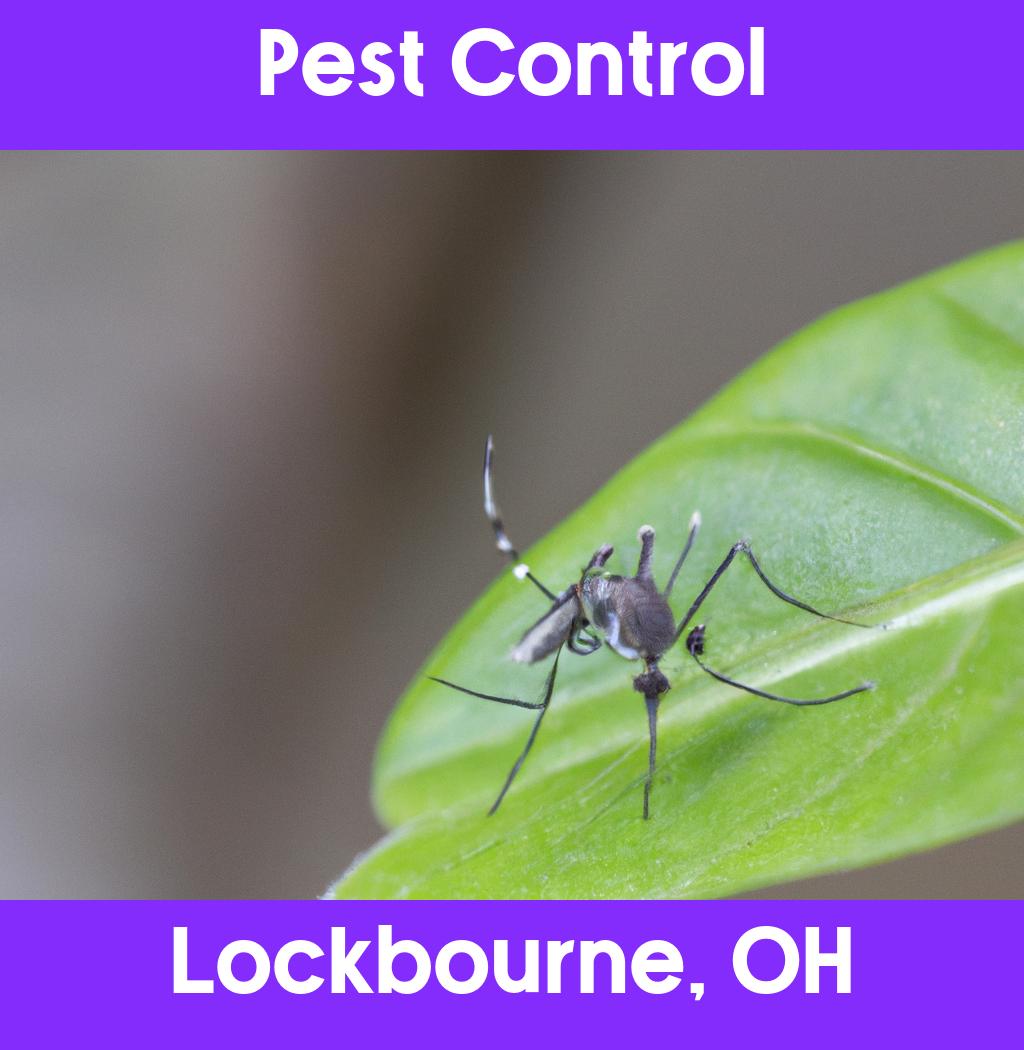 pest control in Lockbourne Ohio