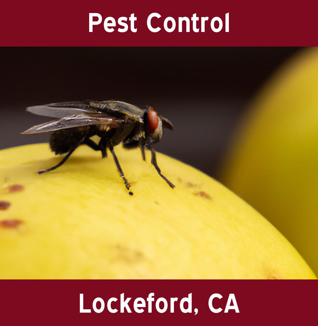 pest control in Lockeford California