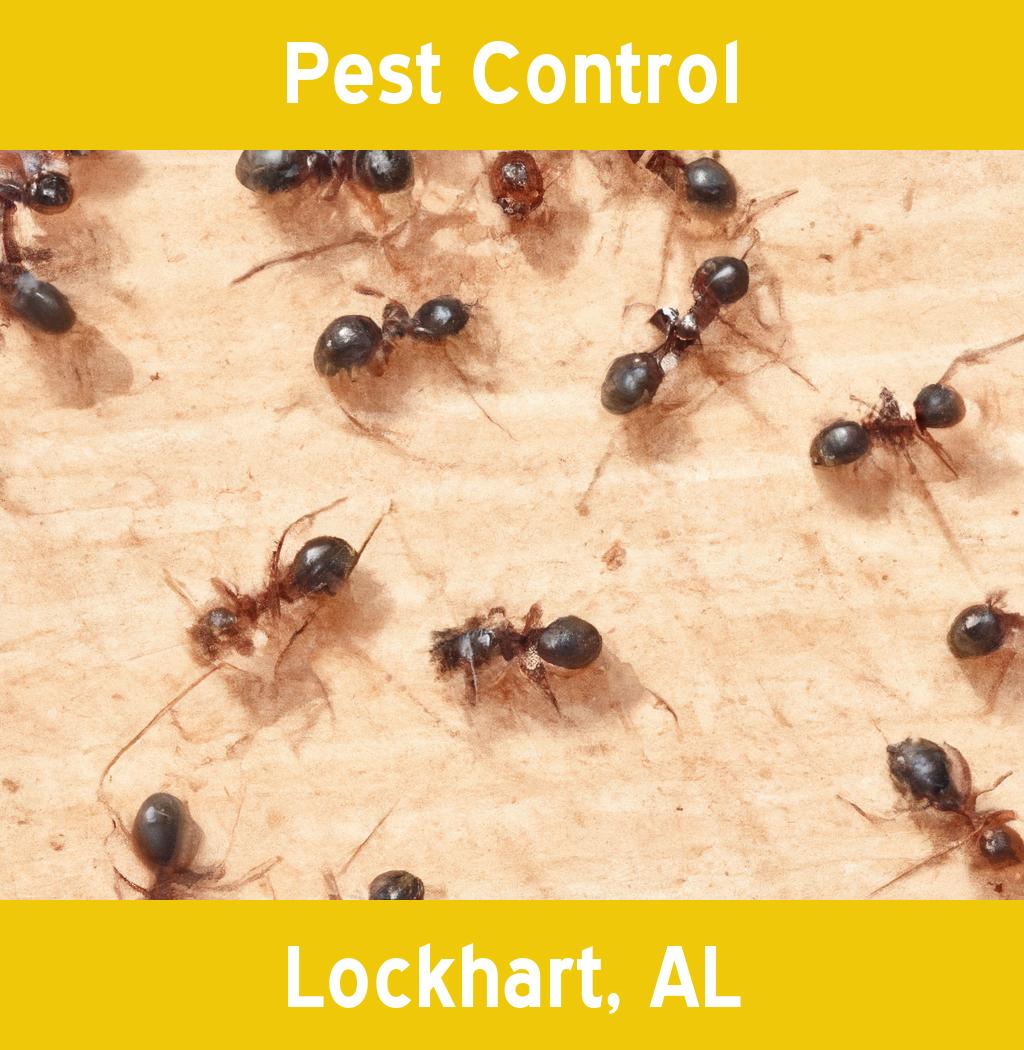 pest control in Lockhart Alabama