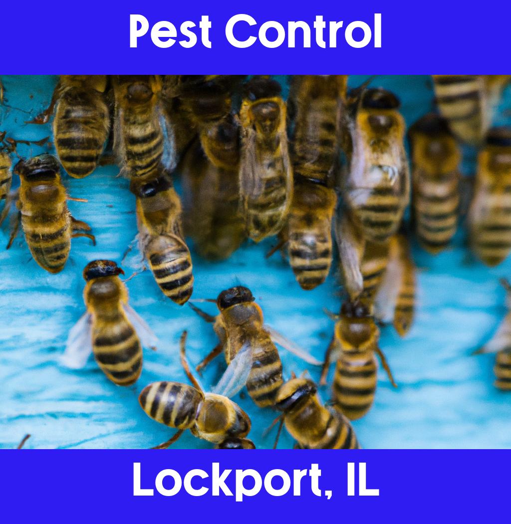 pest control in Lockport Illinois