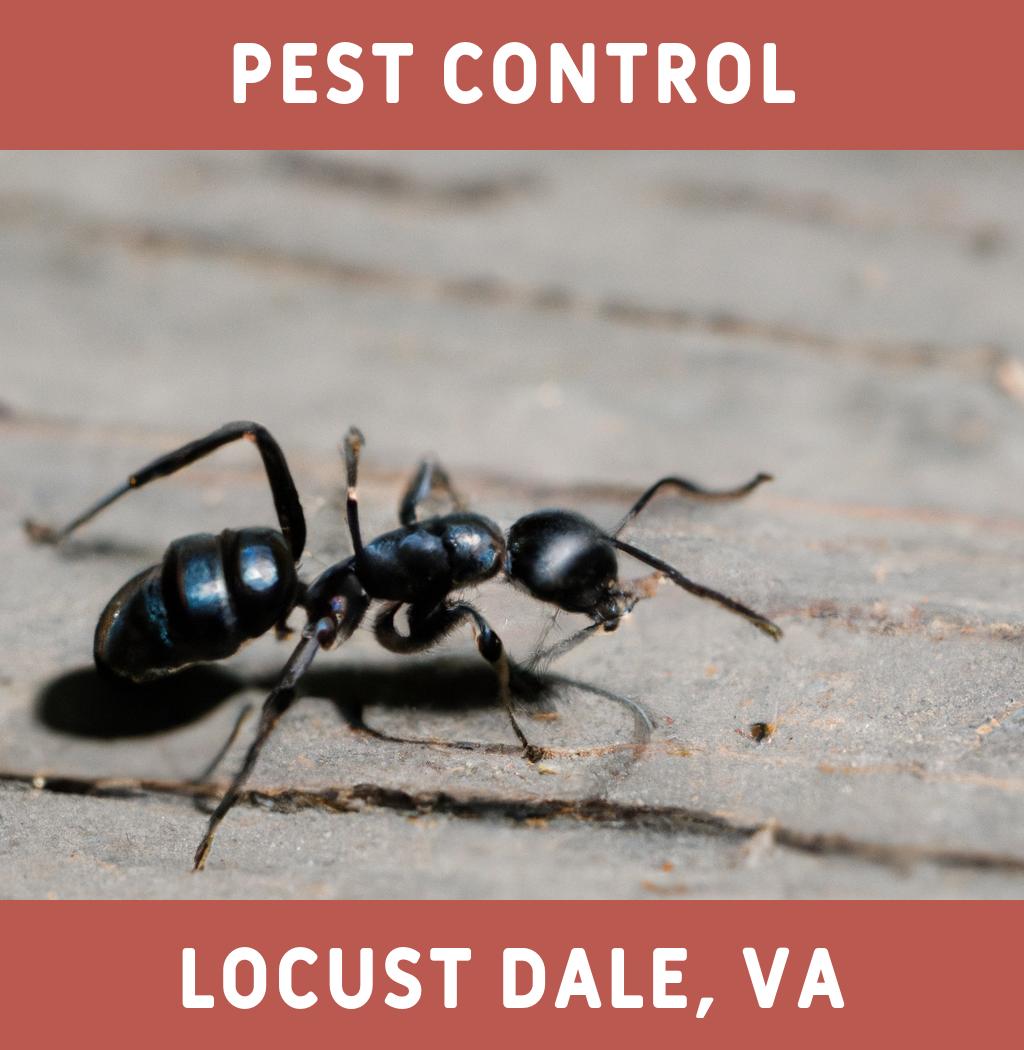 pest control in Locust Dale Virginia