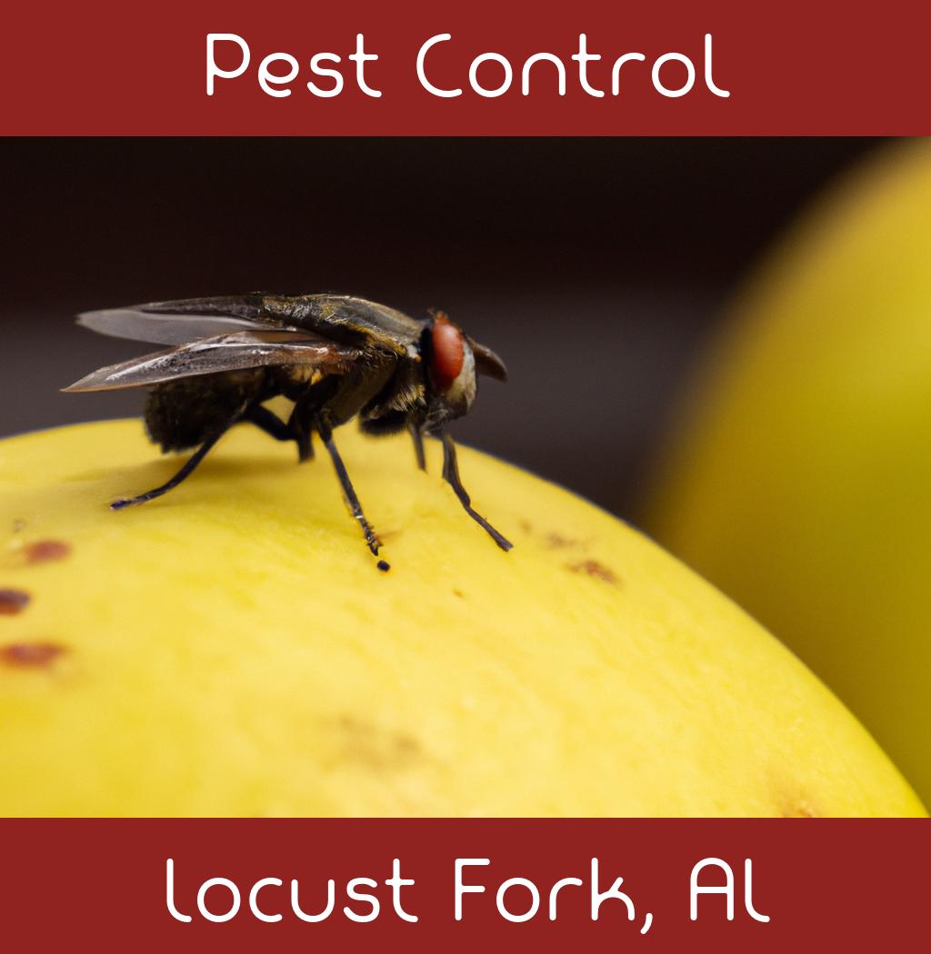 pest control in Locust Fork Alabama